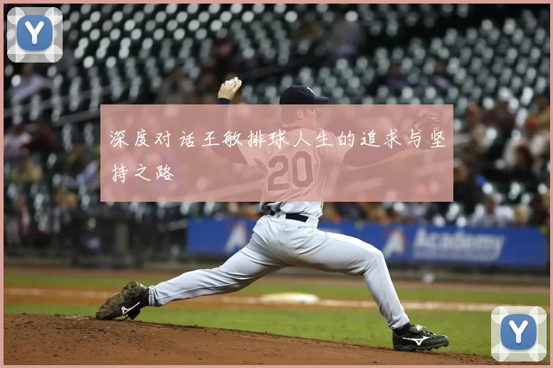 深度对话王敏排球人生的追求与坚持之路