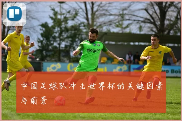 中国足球队冲击世界杯的关键因素与前景