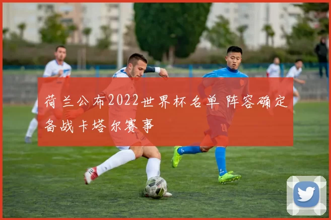 荷兰公布2022世界杯名单 阵容确定备战卡塔尔赛事