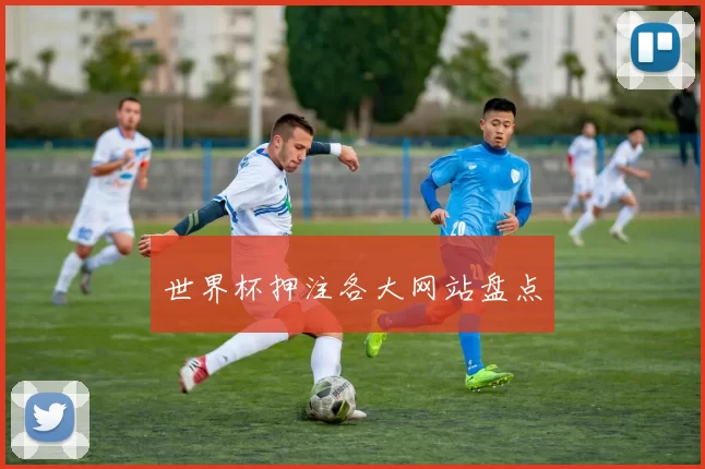 世界杯押注各大网站盘点