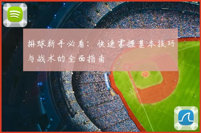 排球新手必看:快速掌握基本技巧与战术的全面指南