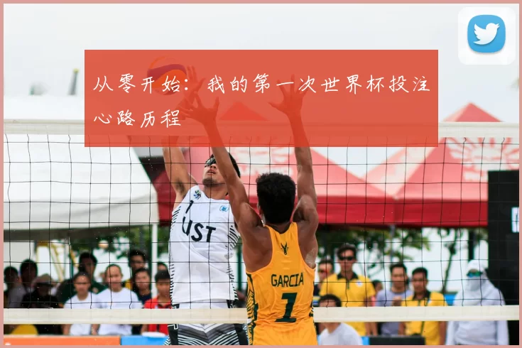 从零开始:我的第一次世界杯投注心路历程