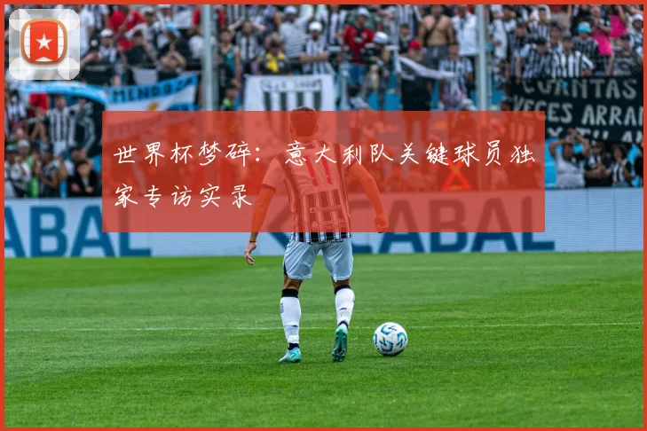 世界杯梦碎:意大利队关键球员独家专访实录