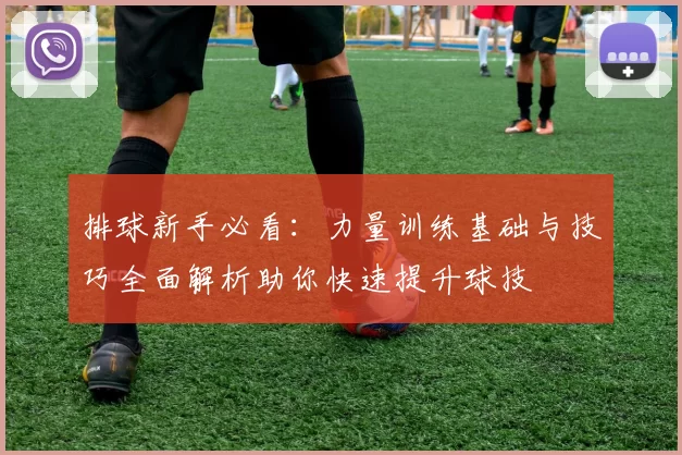 排球新手必看:力量训练基础与技巧全面解析助你快速提升球技