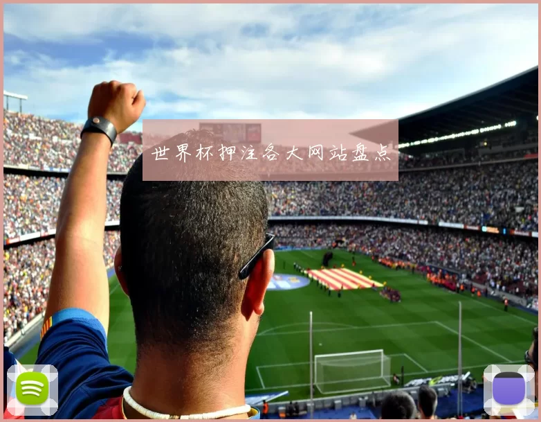 世界杯押注各大网站盘点