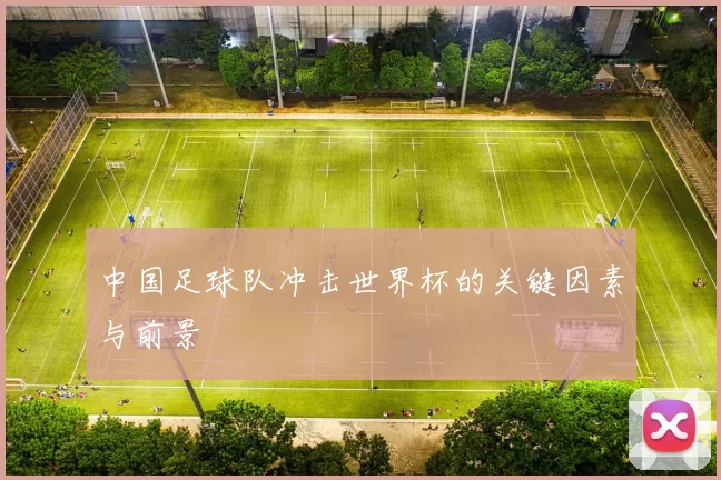 中国足球队冲击世界杯的关键因素与前景