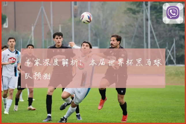 专家深度解析:本届世界杯黑马球队预测