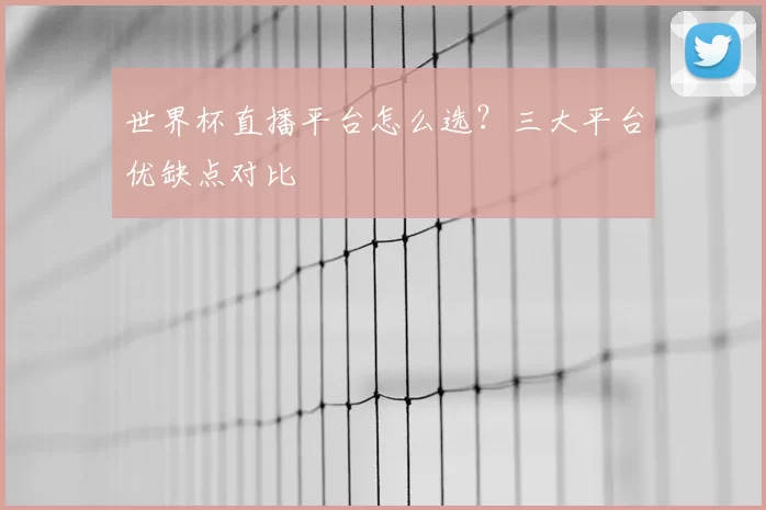 世界杯直播平台怎么选?三大平台优缺点对比