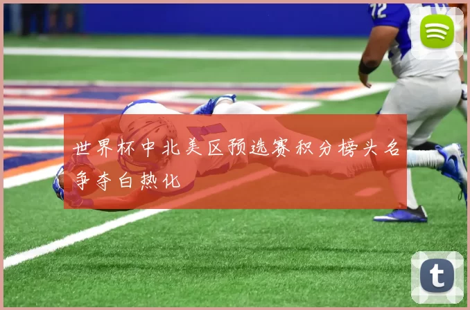 世界杯中北美区预选赛积分榜头名争夺白热化