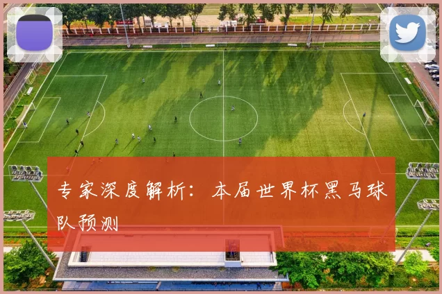 专家深度解析：本届世界杯黑马球队预测