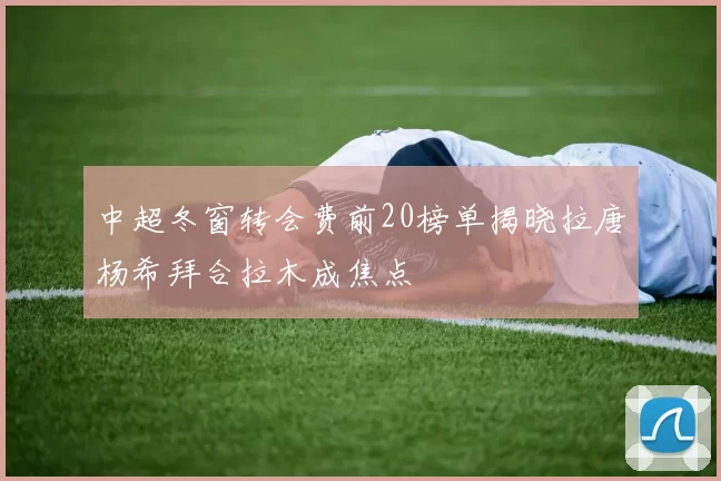 中超冬窗转会费前20榜单揭晓拉唐杨希拜合拉木成焦点