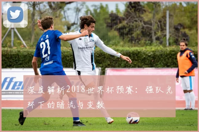 深度解析2018世界杯预赛:强队光环下的暗流与变数
